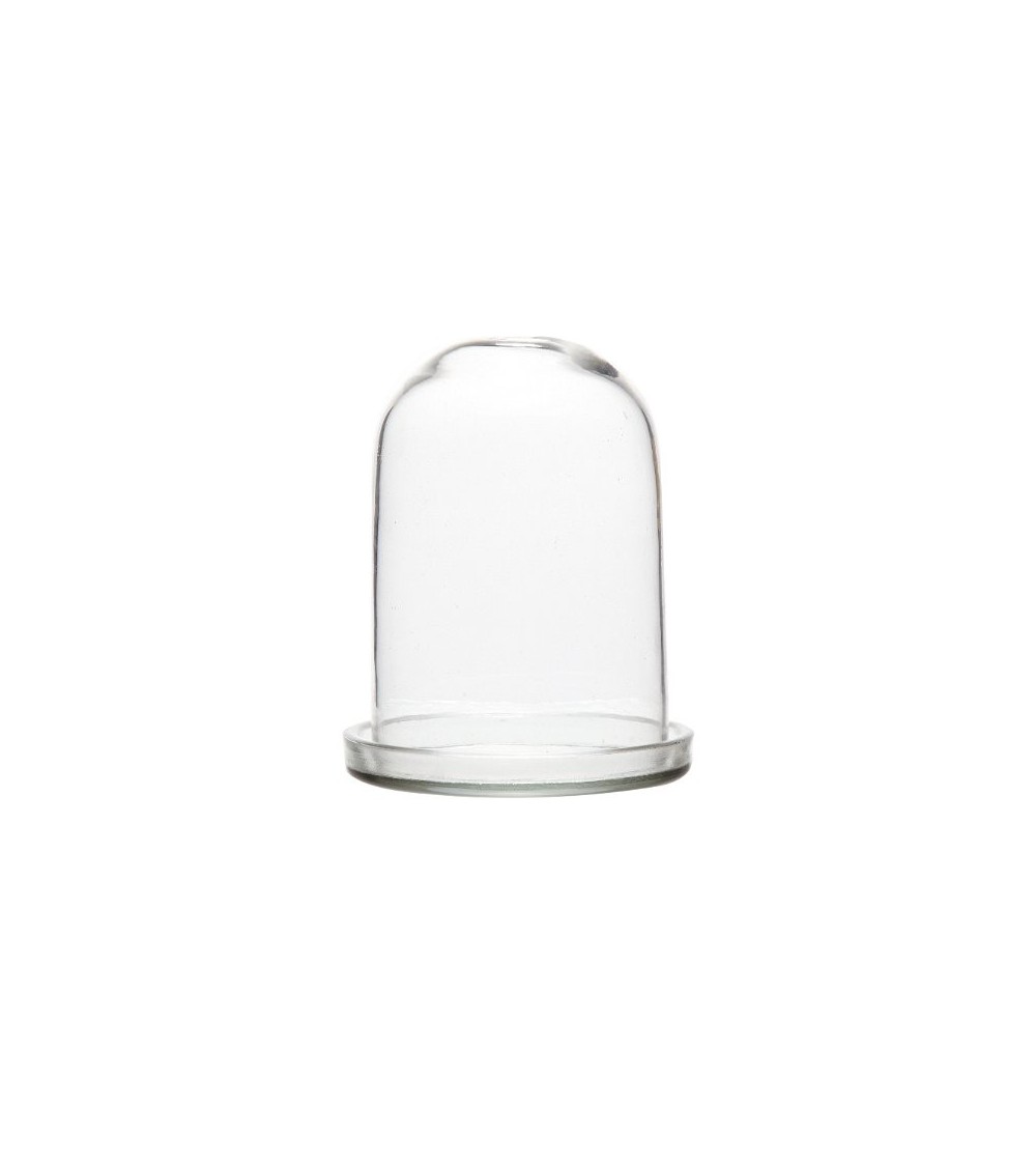 Cloche en verre avec socle