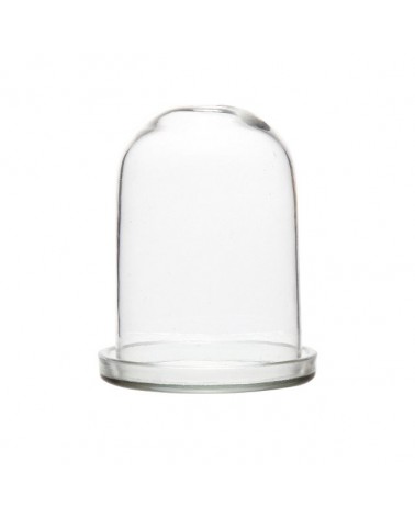 Cloche en verre avec socle